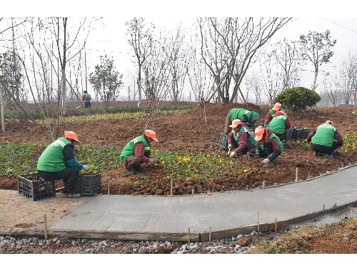 汉川市政绿化工资高吗