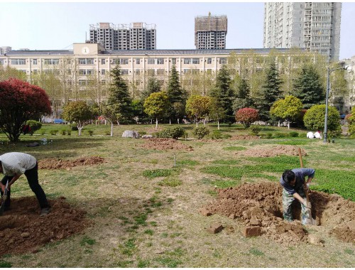 仙桃市政绿化工程报价清单表格