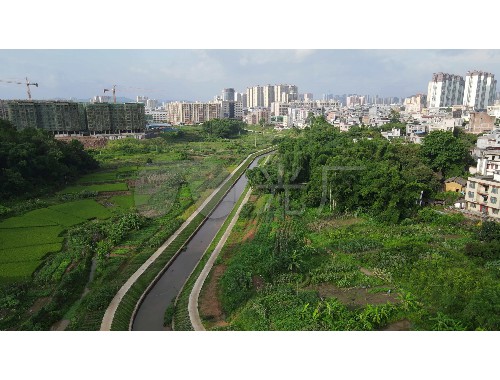 宿州市隐龙湾景区绿化工程