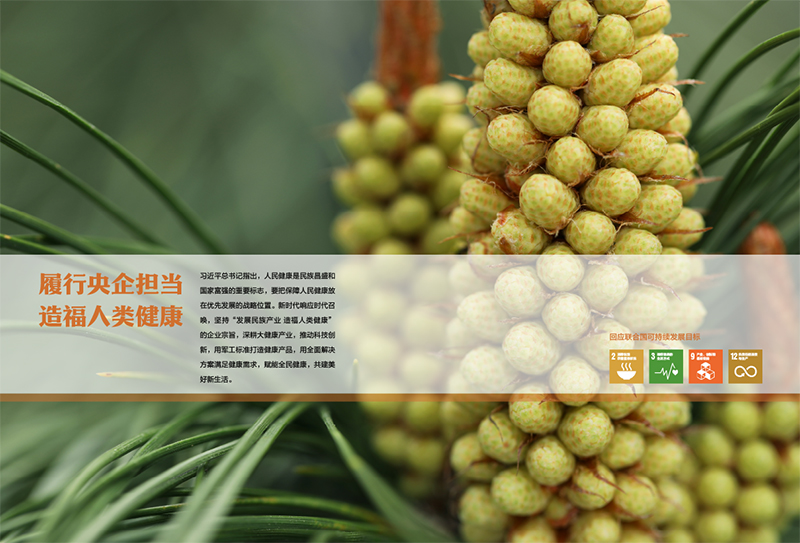 ��ҵ������α�����Ȼ